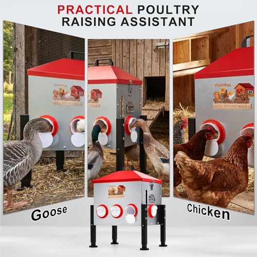Automatic Chicken Feeder, 55LB Large Chicken Feeder with 8 Feeding Ports, No Waste Metal Poultry Feeder, Rat Proof Design, View Window, Height-Adjustable Legs for Ducks, Geese & Chickens - size: 8 Ports - Max 55 lb