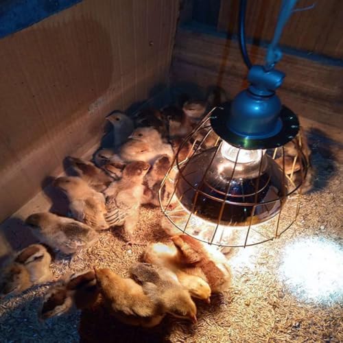 3Pcs Heat-Resistant Livestock Bulb Covers with Sturdy Light Cage for Poultry and Piglet Heating Lamps, Waterproof and Wear-Resistant Lamp Shade Accessory for Animal Housing Use