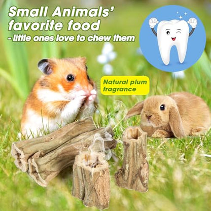 Abizoo Rabbit chew Toys for Bunnies,4 Pcs Natural Papaya Wood Chew Sticks Bunny Chews for Teeth Chinchilla Guinea Pig Hamster Gerbil Degu Small Animals to Keep Busy Molar Treats Toys - size: M
