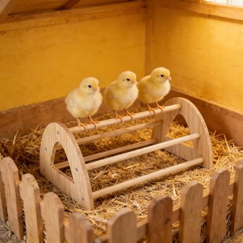 Large Wooden Chicken Perch, Chick Roosting Perch Wood Stand for Brooder, Chicken Toys for Coop and Brooder Chick Roosting Bar, Training Perch Toys for Large Bird - color: Chick Perch