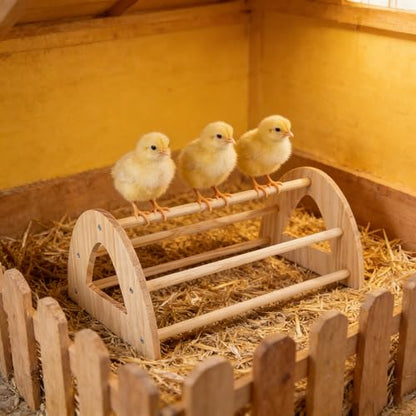Large Wooden Chicken Perch, Chick Roosting Perch Wood Stand for Brooder, Chicken Toys for Coop and Brooder Chick Roosting Bar, Training Perch Toys for Large Bird - color: Chick Perch