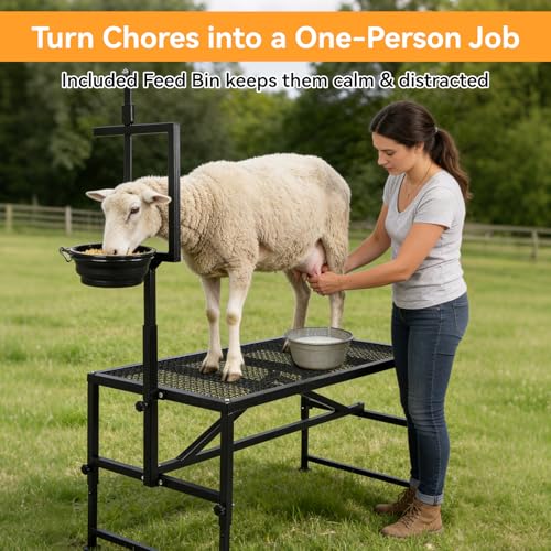 Goat Milking Stand with Feed Bin, 600 LBS Heavy Duty Sheep Trimming Stand, Adjustable Headpiece Livestock Stanchion, Stable Metal Hoof Trimming Platform for Grooming & Shearing, Farm Equipment