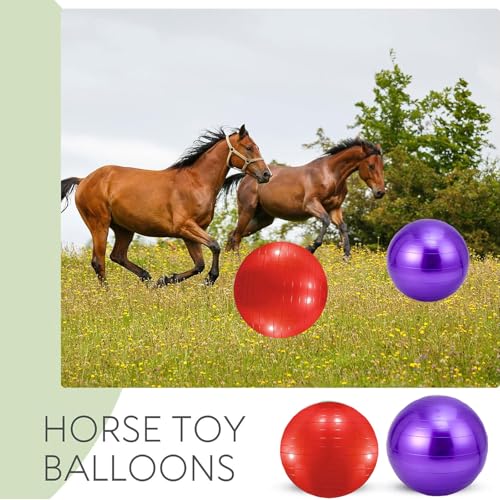 2pcs Horse Toy Balls with Inflation Pump, Suitable for Outdoor Entertainment, Training Balls for Horses and Goats (45cm/17.71inch) - size: 45cm/17.71inch