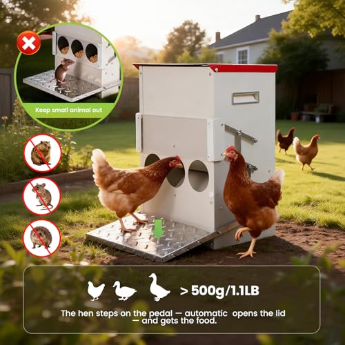 25LB Automatic Chicken Feeder No Waste Metal Gravity Poultry Feeder Treadle Feeder 3 Feeding Ports with Lid, Weatherproof Galvanized Chicken Food Dispenser for Ducks, Goose, Turkey