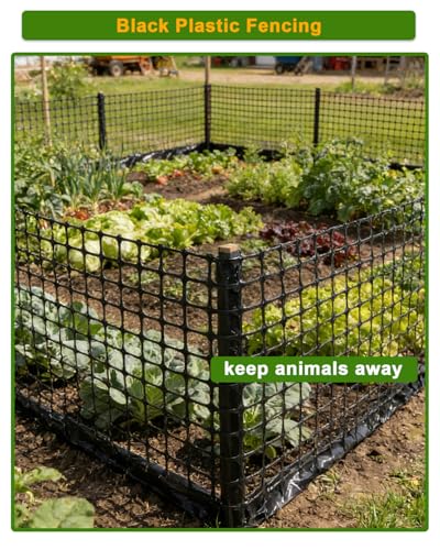 Plastic Chicken Wire Mesh Fence Roll - Black Multi-Use Garden & Poultry Netting, Animal Barrier for Pets, Plants, Patio,Balcony, Snow Fencing & Temporary Indoor and Outdoor Use (16IN * 20FT) - size: 16IN * 20FT