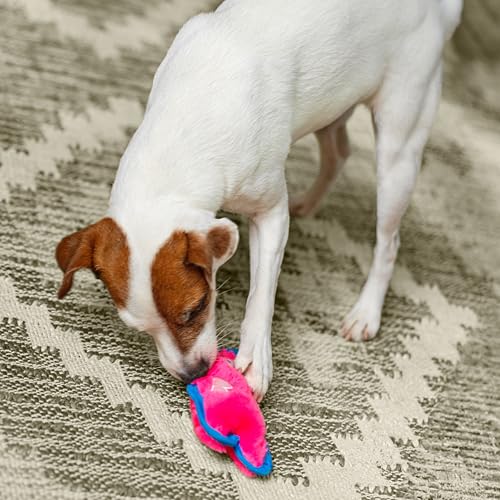 Outward Hound Durablez Minis – Squeaky Plush Dog Toy, No Stuffing for Less Mess, Interactive & Tough, Jumbo Squeaker, Puppies & Small Dogs, Pig, 6.8" (Pack of 2) - color: Pig, size: X-Small (Pack of 2)