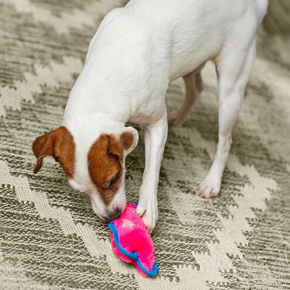 Outward Hound Durablez Minis – Squeaky Plush Dog Toy, No Stuffing for Less Mess, Interactive & Tough, Jumbo Squeaker, Puppies & Small Dogs, Pig, 6.8" (Pack of 2) - color: Pig, size: X-Small (Pack of 2)