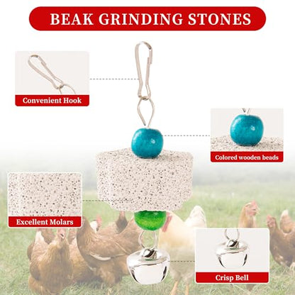 RLRICH 6 PCS Chicken Toys for Coop, Hanging Swing Mirror with Bells Chicken Vegetable Cabbage Feeder for Hens Goose Duck, Chick Beak Grinding Calcium Stone Chewing Toy Chicken Coop Accessories