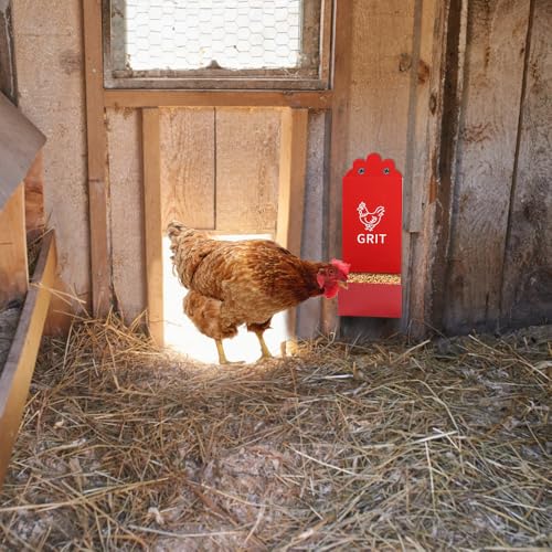 Kalekey 2 Pack Metal Chicken Feeder, Oyster Shell and Grit Feeder Hanging/Ground Chicken Coop Feeder with Durable Iron Construction for Hens & Chicks (Black & Red)