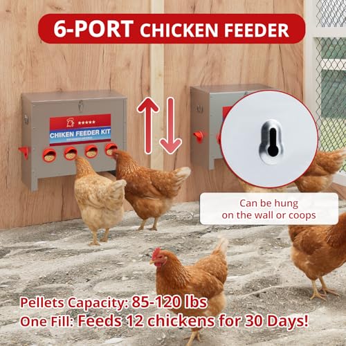 85 lbs Large Automatic Chicken Feeder, No Waste Gravity Fed Poultry Feeder with Latch & Handle, Rat Proof Galvanized Weatherproof Feeder for Chickens, Bantams, Poultry Coop, 6 Ports (Wall-mountable) - color: 6 Ports