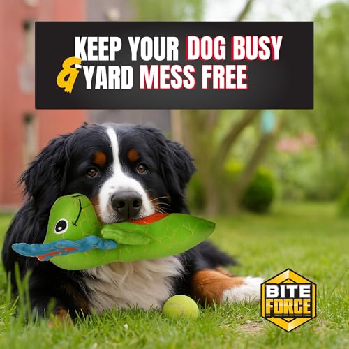 Bite Force - Durable & Strong Dog Toy Green Dino with Squeaker, Kevlar-Reinforced for Aggressive chewers. - color: Medium - Dilophosaurus