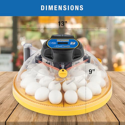 Brinsea Maxi 24 EX Egg Incubator with Automatic Humidity Control and Egg Turning for Hatching 24 Chicken, Duck, or Other Eggs, Optimal Flexibility with Mix & Match Sizes