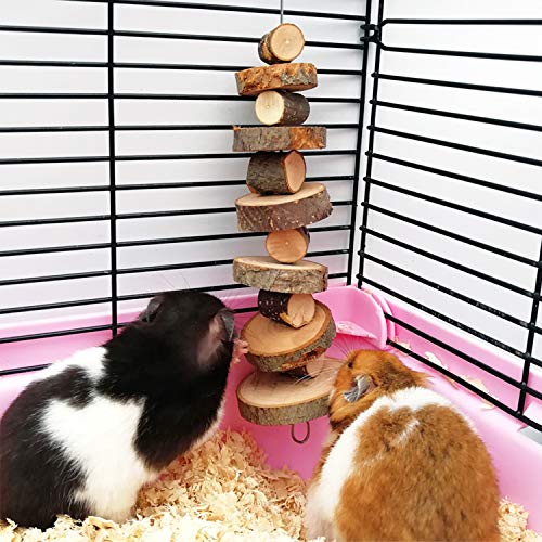 FJNATINH Small Animal Chews Toy Apple Wood Block Cage Hanging Molars Treats Snack for Hamsters Rabbits Bunny Bird Parrots Chinchilla Guinea Pig Gerbils Squirrels, 2 Pack