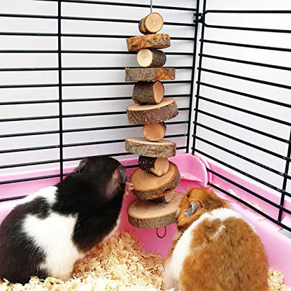 FJNATINH Small Animal Chews Toy Apple Wood Block Cage Hanging Molars Treats Snack for Hamsters Rabbits Bunny Bird Parrots Chinchilla Guinea Pig Gerbils Squirrels, 2 Pack