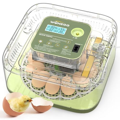 12 Egg Incubator with Automatic Egg Turning and Humidity Control, LED Egg Candling Light, Customized Incubation Days, Incubators for Hatching Eggs, Chicken Quail Parrot Pigeon Birds, Green - color: Green