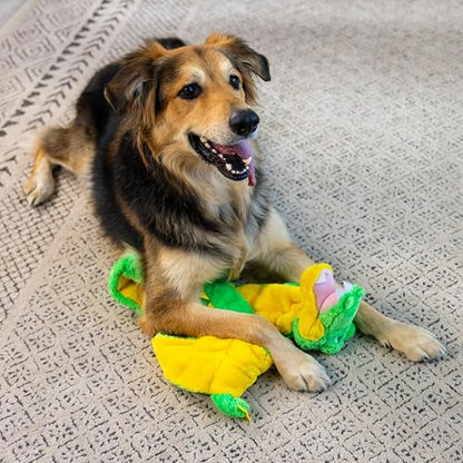 Outward Hound Squeaker Matz Plush Gator Dog Toy, XXL - size: 2X-Large (Pack of 1)