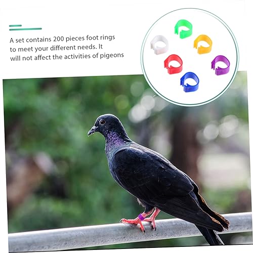 Abaodam 100pcs Poultry Foot Ring Leg Bands Bird Duck Chicken Leg Band Clip Ring Smooth Pigeon Dove Foot for Easy Identification