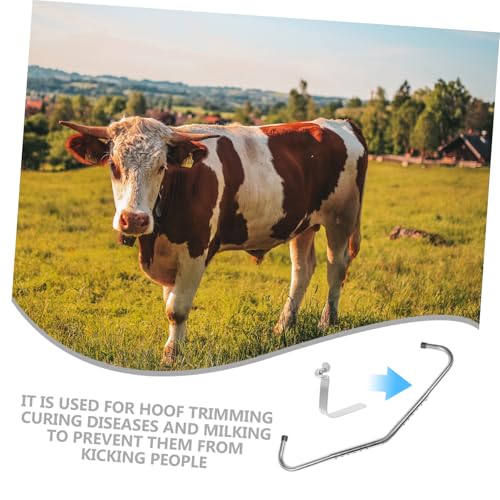10pcs Cows Spring Clips Tool Dairy Kick-Stop Rod Shrapnel Device for Livestock Stick Management