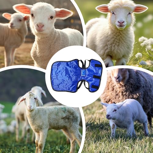 Calf Coat - Waterproof Warm Clothes for Young Livestock, Insulated Calf Warming Blanket for Barn Pasture Winter Outdoor Grazing Night Protection Against Rainy Seasons and Sudden Temperature Changes
