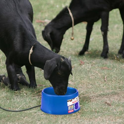 Farm Innovators 60 Watt Premium Plastic Heated Pet Water Bowl with Advanced Thermostatic Control for Large Dogs and Cats, Blue
