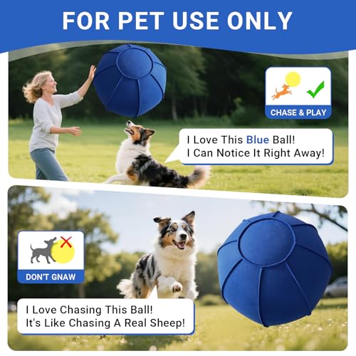 Herding Ball Toy for Dogs 3242432 Ball Set for Australian Shepherd, Interactive Dog Training Toys for Large Breeds Outdoor Play Exercise (Bright Blue,L)