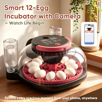 MYPIN Automatic 12-Egg Incubator with Camera & App Control, Smart Temperature Humidity Monitor, Auto Turner for Chicken Duck Quail Pigeon Hatching, Record Life's Birth Moments