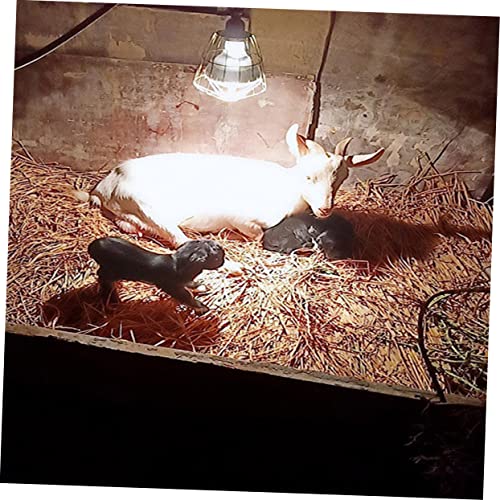 Kisangel 3Pcs Waterproof Heat-Resistant Bulb Covers for Livestock Reptiles Sturdy Light Bulb Cages Burn Protection for Chickens and Pigs