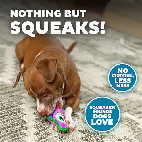 Outward Hound Durablez Minis – Squeaky Plush Dog Toy, No Stuffing for Less Mess, Interactive & Tough, Jumbo Squeaker, Puppies & Small Dogs, Owl, 5.8" - color: Owl, size: X-Small
