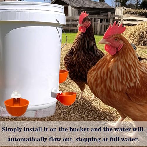 Chicken Automatic Waterer Cups, 6pcs Large Chicken Water Feeder, Poultry Waterer Kits Suitable for Duck, Chicks, Goose, Turkey, Bunny and Bird with Mounting Hole Opener