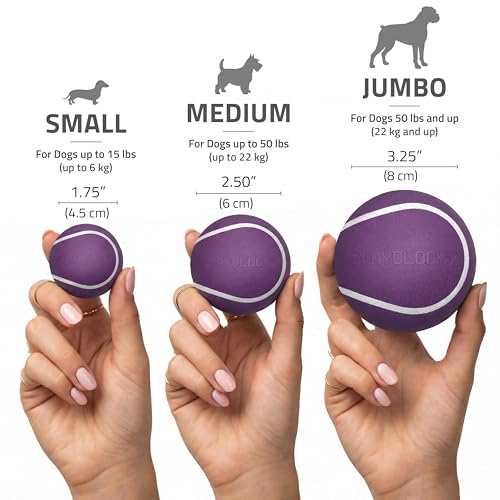 Playology Dog Toys | Squeaky Chew Ball for Dogs, Value 2-Pack | Bacon Scented Medium Dog Balls | Bouncy Floating Chew Toys for Fetch - size: Medium (VALUE 2-Pack), style: Bacon