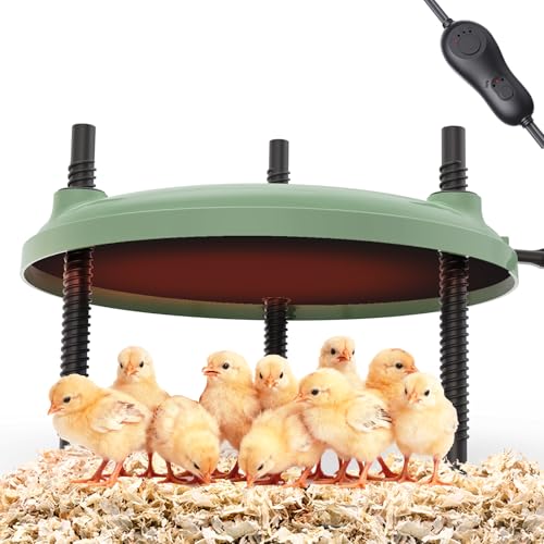 Brooder Plate for Chicks,12inch Metal Heating Plate,Perfectly Adjustable Height & Angle, 35W Chick Warmer for Brooding Newborn Chicken Duckling Quail,Chicken Coop Heater, Warming Puppy Cats - size: Round