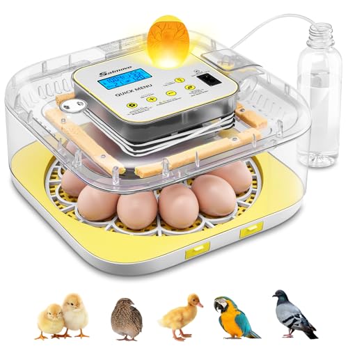 Incubator for Hatching Eggs-12 Egg Capacity, 2026 Newly Upraded Auto Humidification, Temperature & Humidity Control, 360° Viewing for Hatching Chicken,Ideal for Farm,School,Family Education - color: Yellow, size: Hatch 12