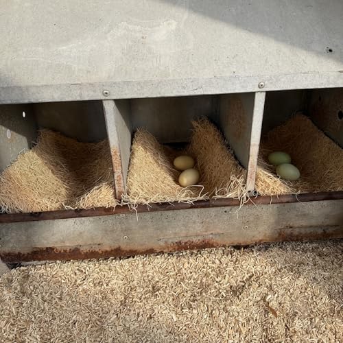 Chicken Nesting Pads 20 Pack Made in USA for Laying Hens, Aspen Excelsior Nest Box Liners for Chicken Coop Nesting Boxes, 13 x 13 in Trim-to-Fit Bedding Pads for Cleaner Eggs and Easy Coop Cleanup