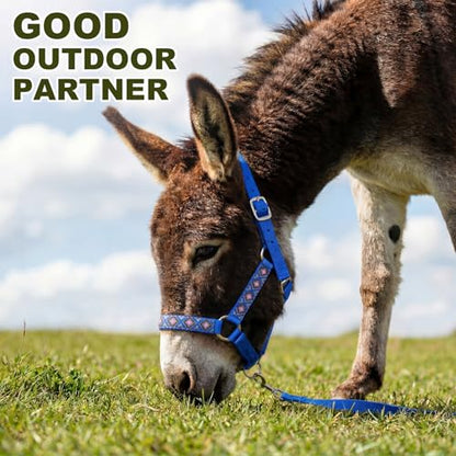 1 Set Miniature Donkey Halter with Lead Ropes, Cute and Stylish Adjustable Nylon Head Collar Set for Miniature Donkeys (Blue) - color: blue