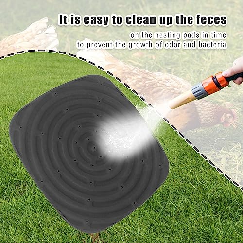 4pcs Chicken Nest Mat, Washable Poultry Nesting Box Pads PVC Water Proof Egg Collector Protector Liners for Laying Eggs Chicken Coop (Black) - color: Black
