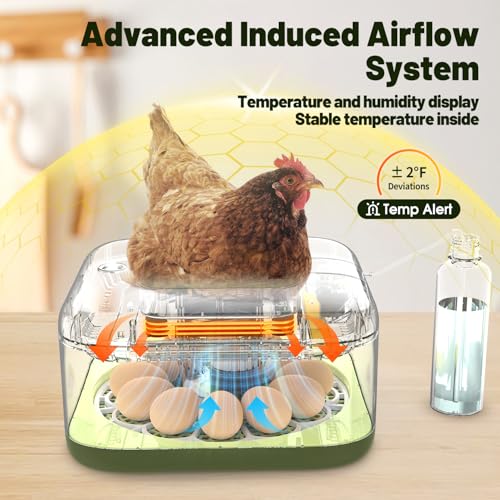 12 Egg Incubator with Automatic Egg Turning and Humidity Control, LED Egg Candling Light, Customized Incubation Days, Incubators for Hatching Eggs, Chicken Quail Parrot Pigeon Birds, Green - color: Green