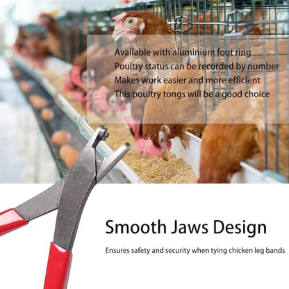 Chicken Leg Band Pliers chicken leg bands Leg Band Application Pliers For Poultry Chickens Ducks Quails Turkey Adjustable 3-speed size 20mm 15mm 10mm - color: Diy-28+diy-29
