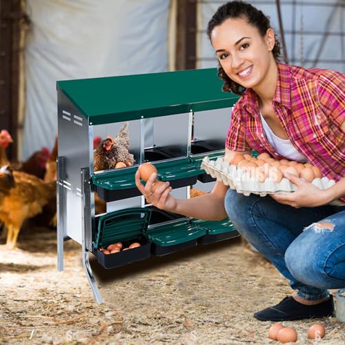 Chicken Nesting Box, 2-Tier Chicken Laying Boxes for Hens, 10 Compartments Chicken Laying Box, 10 Room Metal Nesting Boxes for Chicken, Roll Away Nest Box with Lid Cover to Protect Eggs, 10 Hole Green
