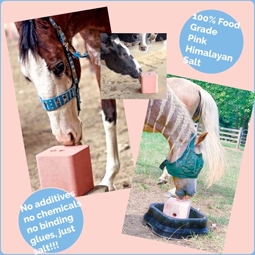Salt Block for Deer & Horses – Compressed Mineral Salt Lick for Livestock, Cattle & Goats – Himalayan Secrets Pink Rock Salt Block (4.4LB/2KG, Block) - size: 4.4 Pound (Pack of 1)