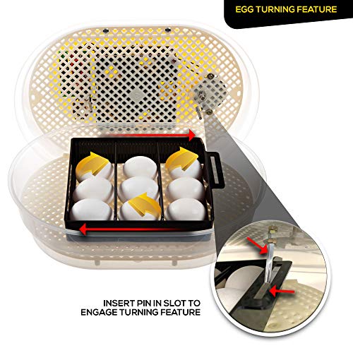 HatchMate™ Egg Incubator with Automatic Egg Turning and Humidity. Small & Portable for Hatching 9-12 Eggs. Hatch Chickens Quail Duck Turkey Parakeet & More