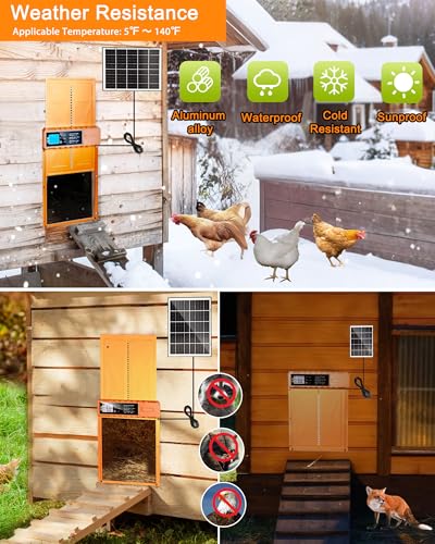 Automatic Chicken Coop Door Solar Powered - Auto Chicken Door 14.3″ x 10.9″ for Large Coop & Run, Anti-Pinch, Orange Aluminum Alloy with Secure Hidden Cable Slot, LCD Timer & Remote Control