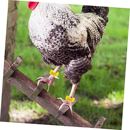 Kisangel 100pcs Adjustable Chicken Leg Bands Numbered Poultry Identification Rings for Easy Chick and Bird Identification Lightweight and Safe Material for Pigeons and Poultry Use - color: Yellow