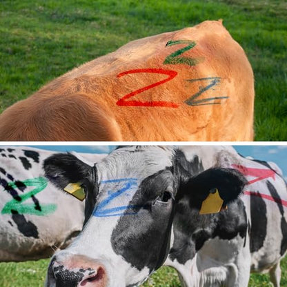 PATIKIL 1.1" x 4.41" Livestock Marker, Highly Visible, 6 Pcs Paint for Marking Animal Skin, Hide, Pelt, Wet and Dry for Cattle Heat, Blue