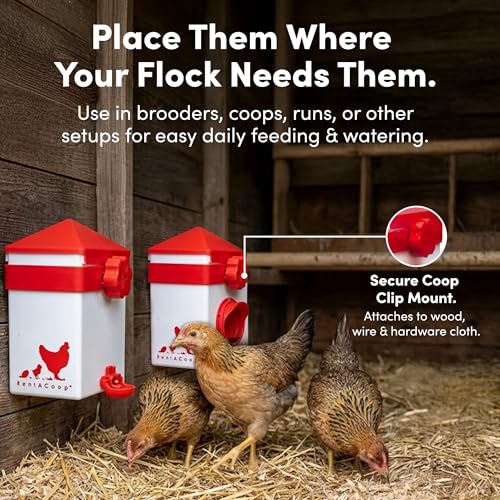 RentACoop 2.5lb Chick2Chicken Medium Sliding Port Feeder and 64 Ounce (2 Liter) Drinker Set – Includes Coop Clip, 2 Versatile Nipples, and Auto-Fill Cup for Waterer