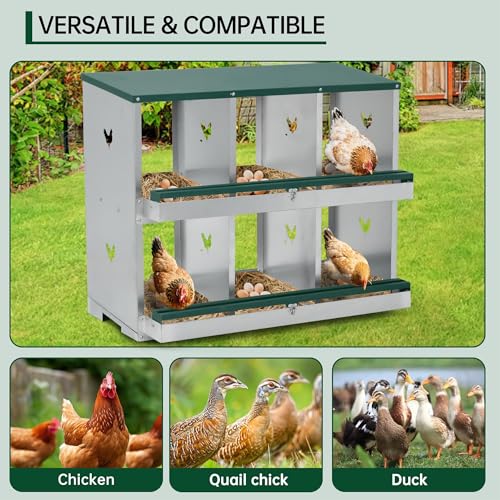 GarveeLife Chicken Nesting Box, 4 Compartments Nesting Box for Chickens, Two-Tier Galvanized Steel Chicken Egg Laying Box with Large Vented Holes Wall Mounting for Easy Egg Collection - color: Green | 4 Compartments