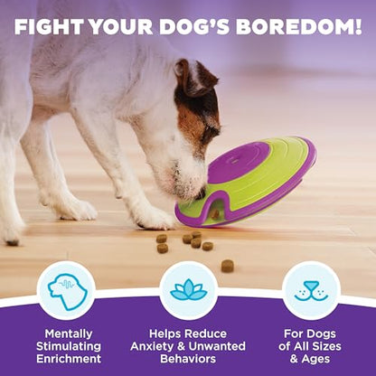 Outward Hound by Nina Ottosson Dog Treat Maze Dog Puzzle Enrichment Toy, Level 2 Intermediate, Green - color: Treat Maze (Purple, Green)