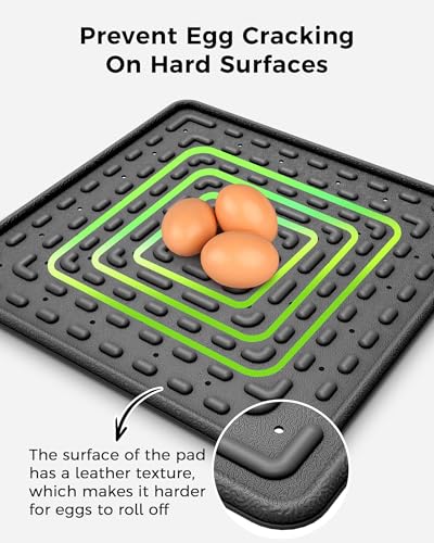 Washable & Reusable Nesting Pads for Chicken Coop - 4Pcs Chicken Nest Mats - Durable 12"x 12" Plastic Nest Box Pads for Egg Laying Hens (Soft, Easy Clean, Premium) - color: Black-4pcs