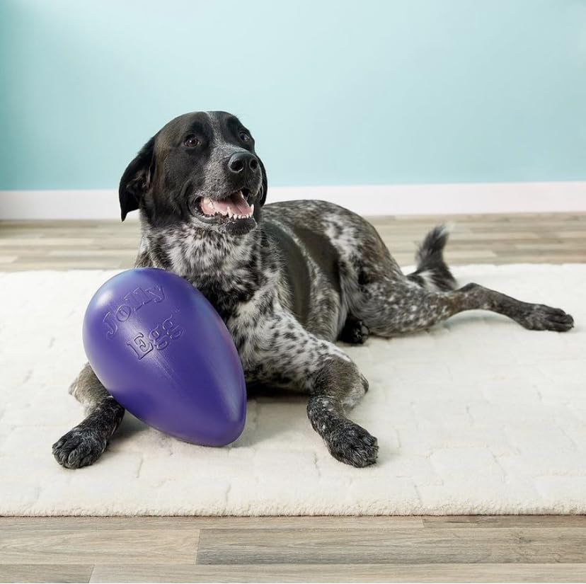 Jolly Pets Jolly Egg Dog Toy, 8 Inches/Medium, Red (JE08 RD) - color: Red, size: Medium (8 in)