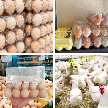 80 Pack Bulk Egg Cartons, Clear Plastic Chicken Egg Holders, Egg Tray Carton Holder for Home & Kitchen, Farm & Market Use, An Eco-Friendly Egg Storage Solution, 10 Grids(Medium Size) - size: 80 Pack Egg Cartons 10 Grids