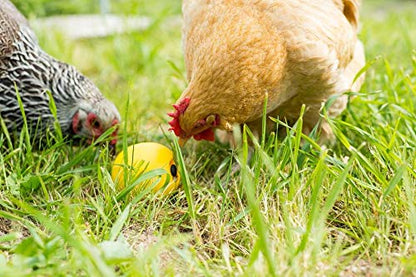 Lixit® Chicken Feeder Treat Ball Toy - Chicken Coop Peck Toy - Chick Slow Feeder and Enrichment Ball (Yellow, 1 Pack) - size: 1 Pack
